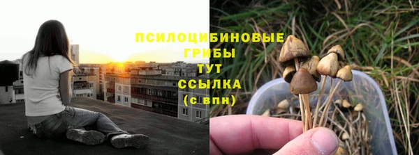 а пвп мука Абаза