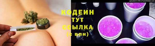 гидра Нязепетровск