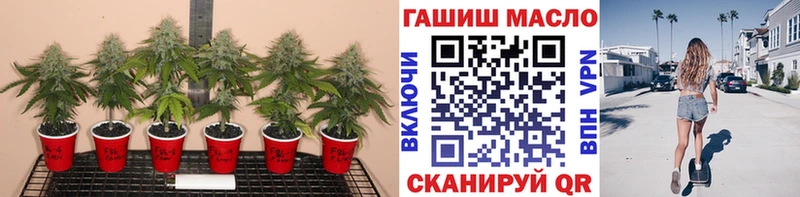 Дистиллят ТГК концентрат KRAKEN ссылки Сертолово закладка